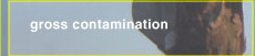 Gross Contamination